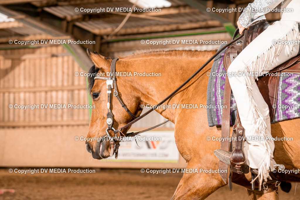 BA300665 | dv-media-shop - Realisiert mit Pictrs.com