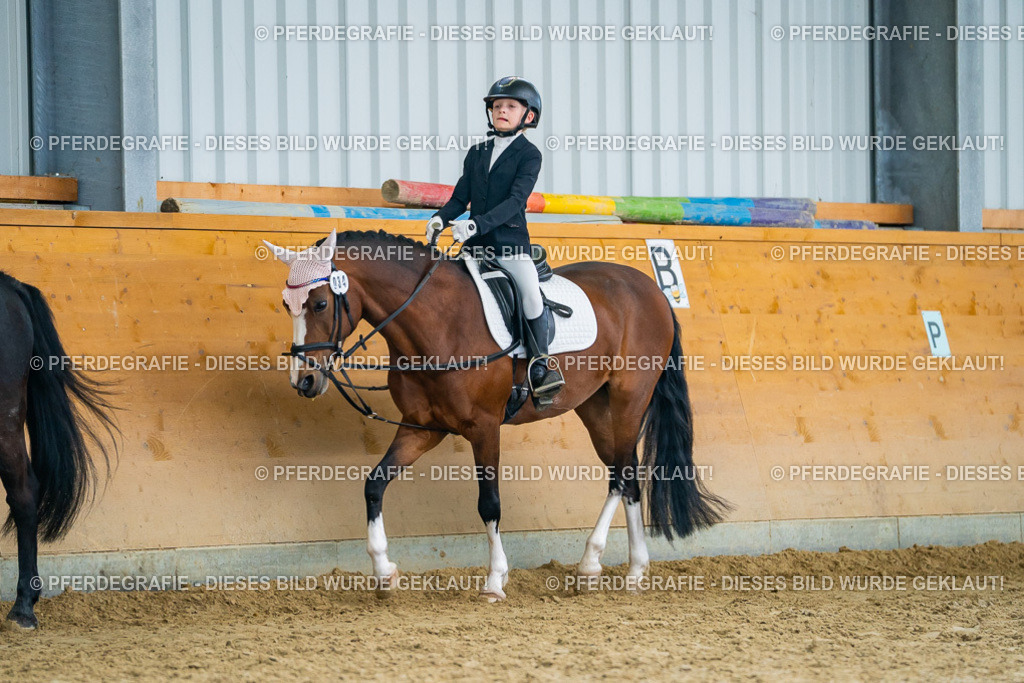 DSC01105 | Pferdegrafie