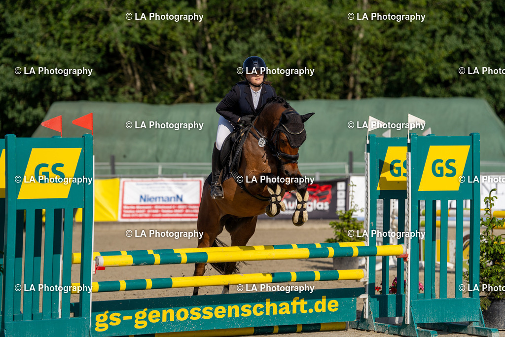 DSC04153 | Entdecke einzigartige Turnierfotos und persönliche Pferde- und Hundeportraits bei LA Photography. Für jeden Reiter und Pferd das perfekte Bild! Stöbere jetzt! - Realisiert mit Pictrs.com