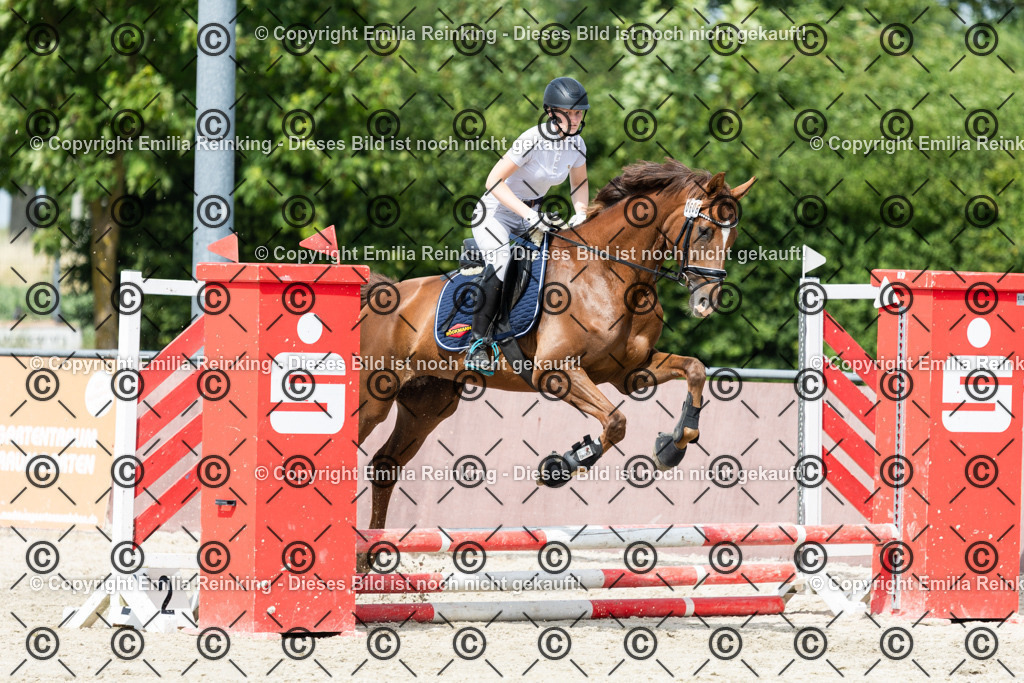 CL5A4243 | Emilia Reinking Fotografie - Realisiert mit Pictrs.com