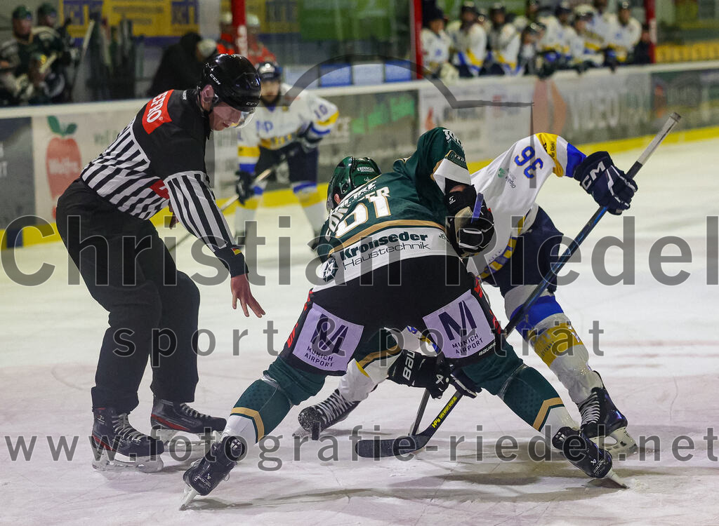 2026-01-09_066_TSV_Erding_gegen_Stuttgart_Rebels | Erding, Deutschland, 09.01.2026:Eishockey, Oberliga Süd 2025 / 2026, 35. Spieltag, TSV Erding gegen Stuttgart Rebels, Endergebnis: Maximilian Forster (Erding Gladiators, #81), Matthew Pistilli (Stuttgart Rebels, #36)Foto: Christian Riedel / fotografie-riedel.net