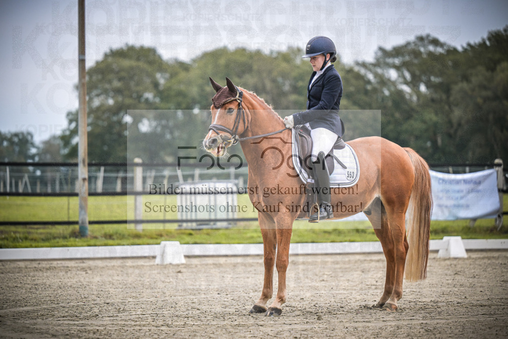 DOS_0473 | Entdecke hochwertige Reitturnierfotos von Foto Oger. Professionell, emotional und authentisch – jetzt Lieblingsmomente im Shop bestellen.Deutschlandweite Turnierfotografie. - Realisiert mit Pictrs.com