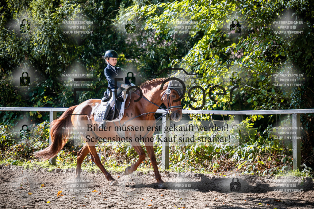 2026-10-Helle-20-4-0021 | Entdecke hochwertige Reitturnierfotos von Foto Oger. Professionell, emotional und authentisch – jetzt Lieblingsmomente im Shop bestellen.Deutschlandweite Turnierfotografie. - Realisiert mit Pictrs.com