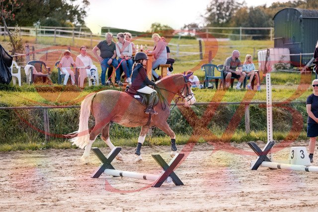 2026_10_03_Siefer-Hof_144354_Z81_17423819 | Professionelle Reitsport-, Turnier- und Eventfotografie von Robert Broda. Galerien mit ausgewählten und bearbeiteten Bildern direkt online ansehen und bestellen.