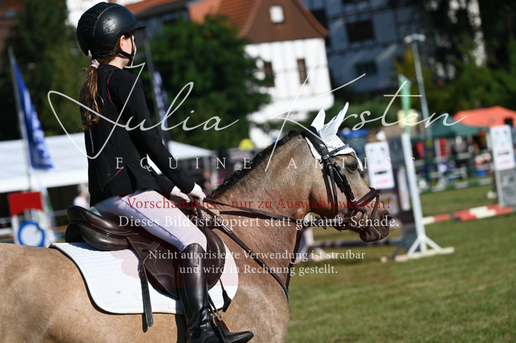 DSC_5169 | Pferde- und Turnierfotografie in Westsachsen. Pferdeportraits, Auftragszeichnungen und intuitive Kunst.