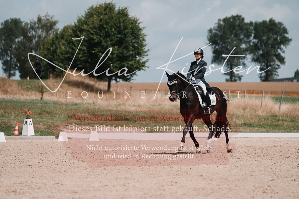DSC_4059 | Pferde- und Turnierfotografie in Westsachsen. Pferdeportraits, Auftragszeichnungen und intuitive Kunst.