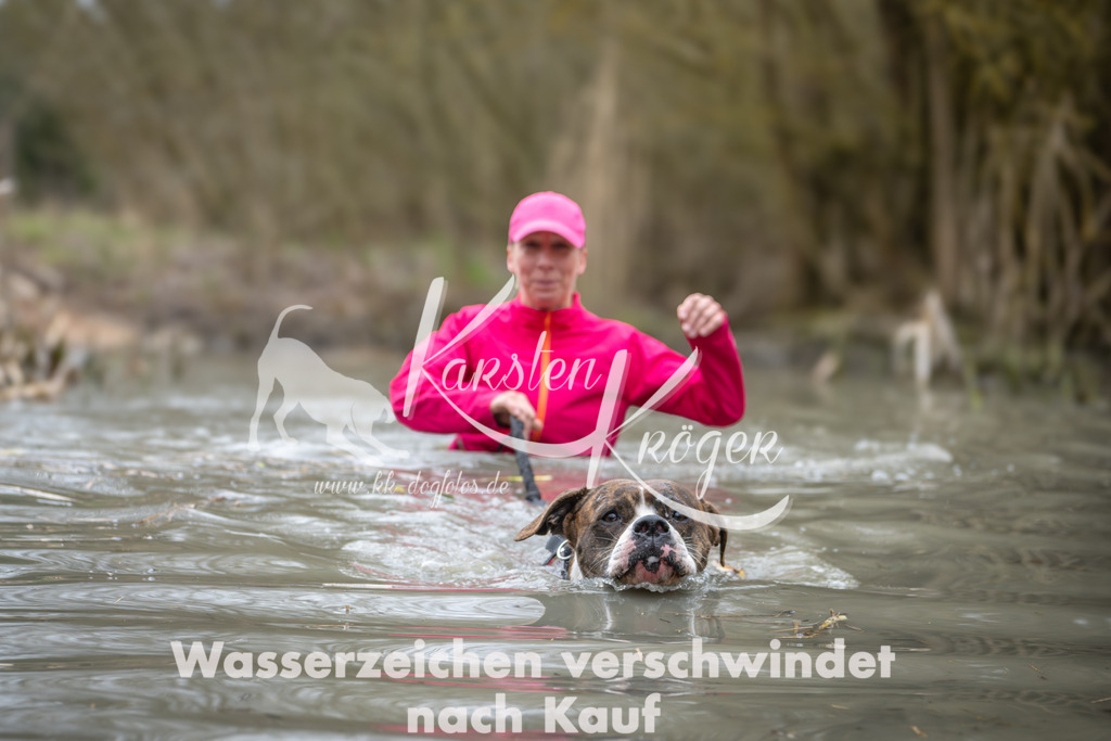 1027_ZZ99902 | kk-dogfotos