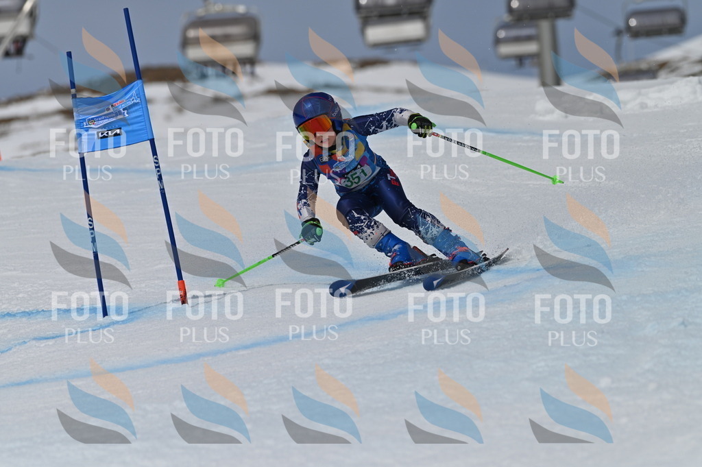 BGV_6905 | holidayphoto