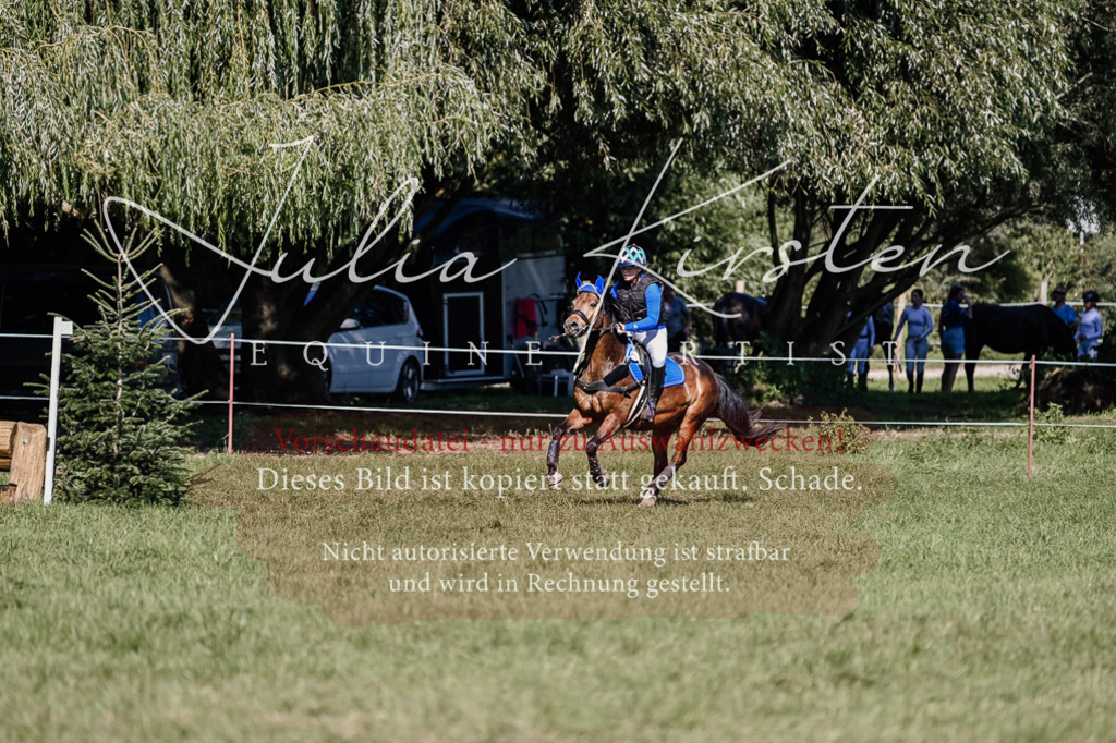 DSC_3111 | Pferde- und Turnierfotografie in Westsachsen. Pferdeportraits, Auftragszeichnungen und intuitive Kunst.