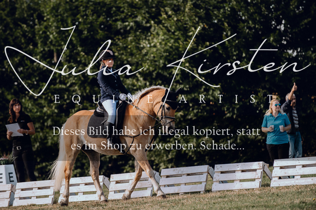 DSC_6973 | Pferde- und Turnierfotografie in Westsachsen. Pferdeportraits, Auftragszeichnungen und intuitive Kunst.