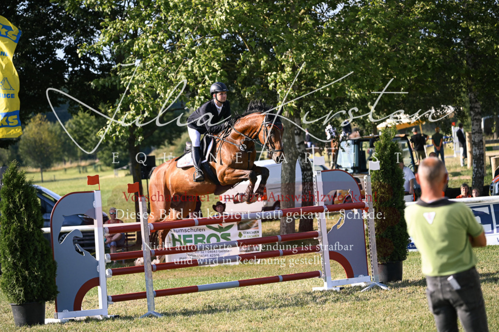 DSC_1697 | Pferde- und Turnierfotografie in Westsachsen. Pferdeportraits, Auftragszeichnungen und intuitive Kunst.