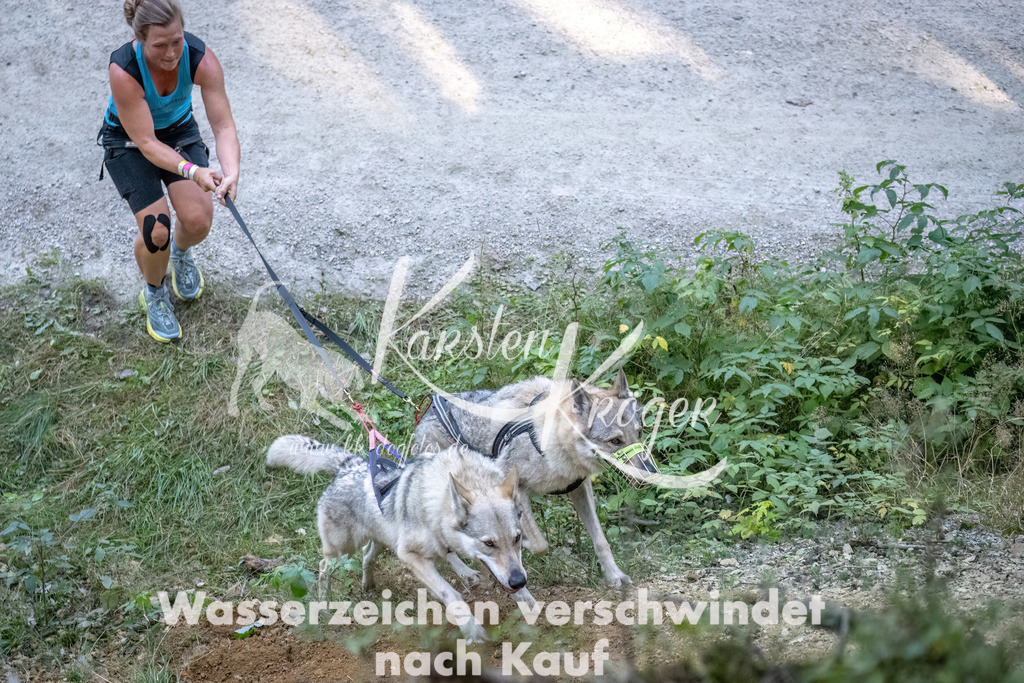 0934_ZZ92227-DeNoiseAI-low-light | kk-dogfotos