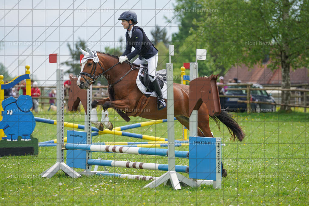 20240509-FAH02477 | Turnierbilder der Turnierfotografen Bayern, Pferdesport Fotografie, Reitsportbilder, Turnier Landberg am Lech, Turnierbilder bayern, Fotoagentur Herrmann