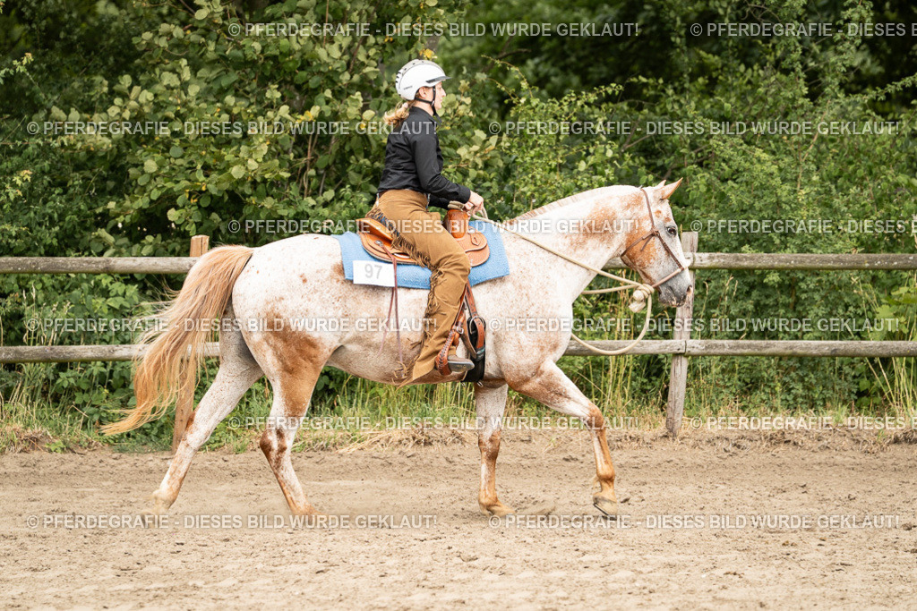 DSC01048 | Pferdegrafie