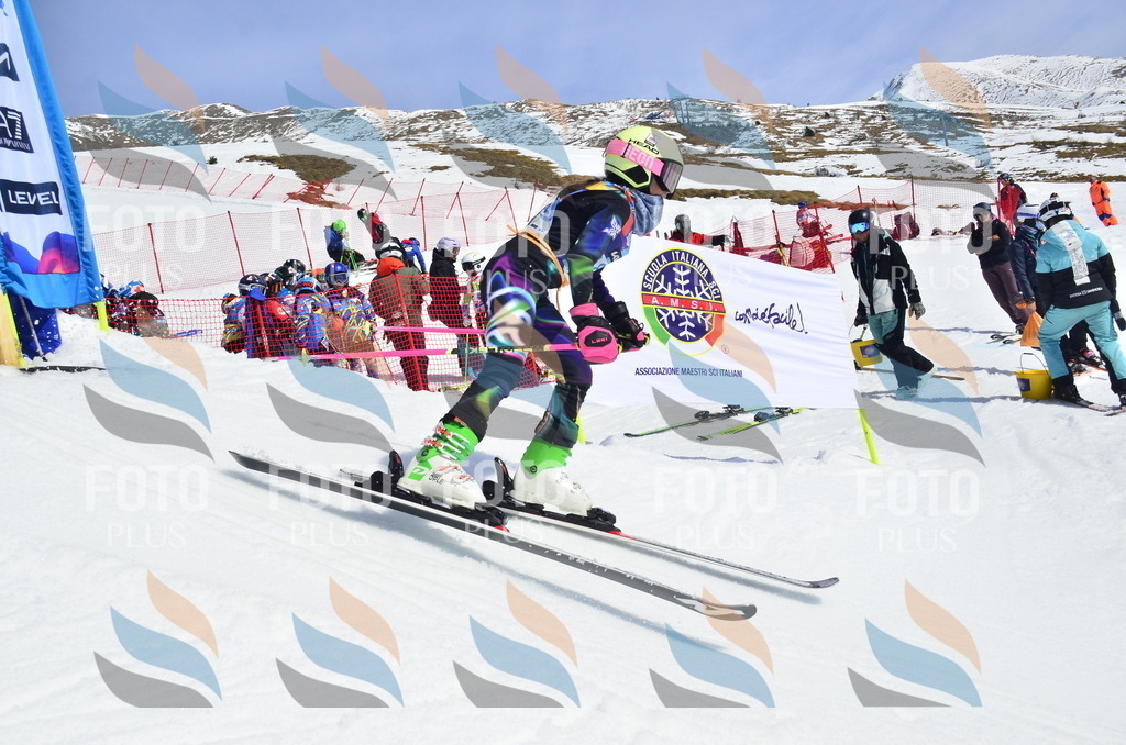 _ELE1231 | holidayphoto