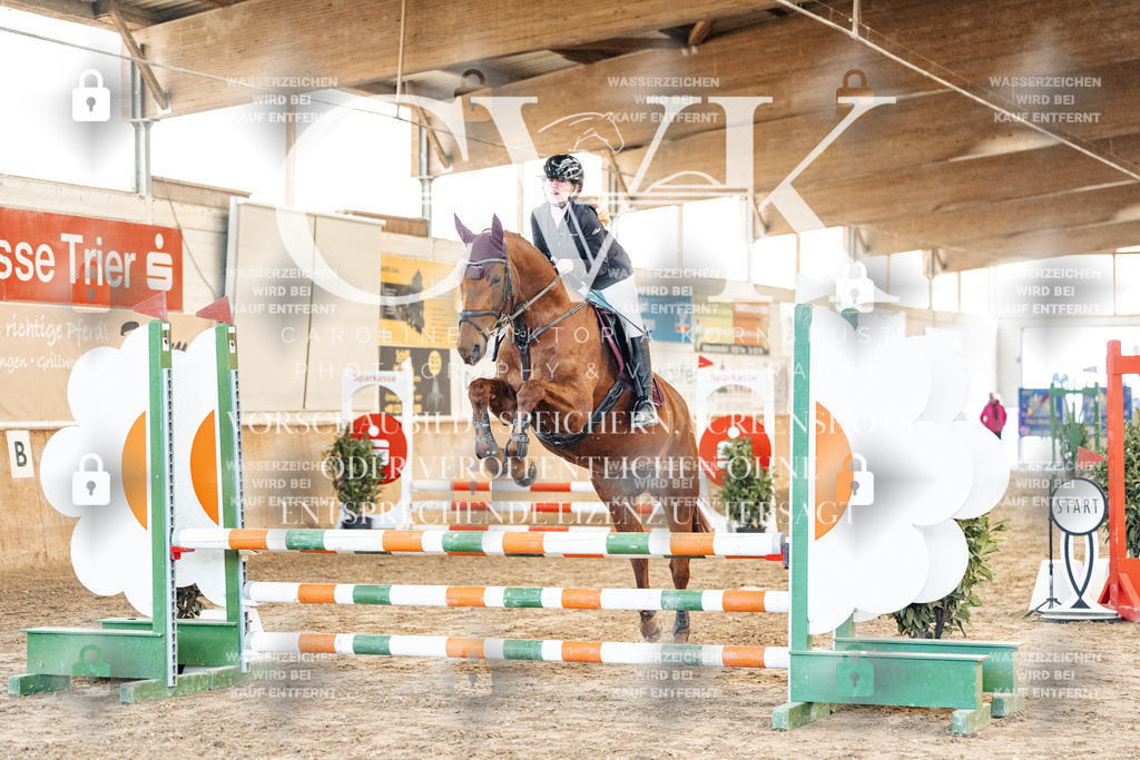 CK903860 | Turnierfotografie Pferdefotografie Trier Rheinland-Pfalz Pferdesport Reitsport Tierfotografie Sportfotografie Pferdevideo Pferdevideografie Equestrianvideography equestrianphotography  - Realisiert mit Pictrs.com