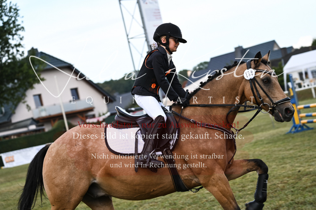 DSC_5631 | Pferde- und Turnierfotografie in Westsachsen. Pferdeportraits, Auftragszeichnungen und intuitive Kunst.