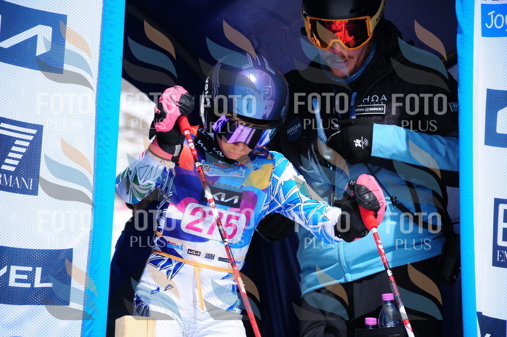 DSC_6446 | holidayphoto