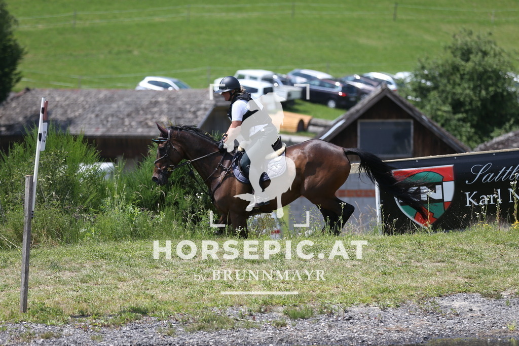 DL2Q2221 | Willkommen bei Brunnmayr - Design & Fotografie – Ihrem Spezialisten für Reitturniere und Pferdeveranstaltungen in Oberösterreich, Salzburg und Bayern! Seit über 17 Jahren sind wir leidenschaftlich dabei.