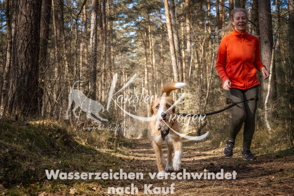 1123_ZZ90864-Bearbeitet | kk-dogfotos