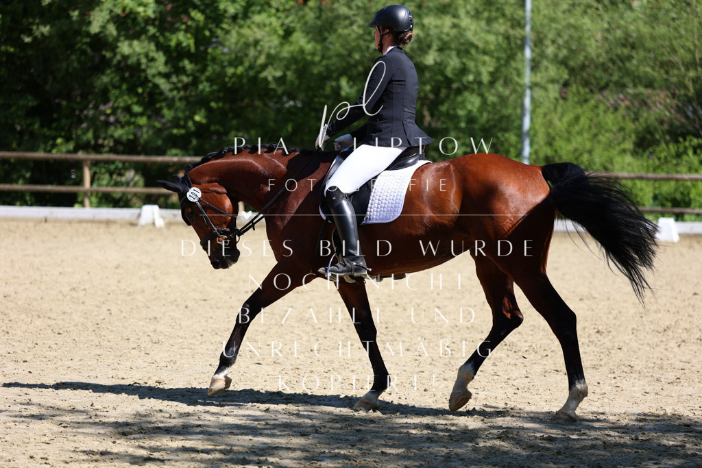 IMGT0657 | pl-fotografie