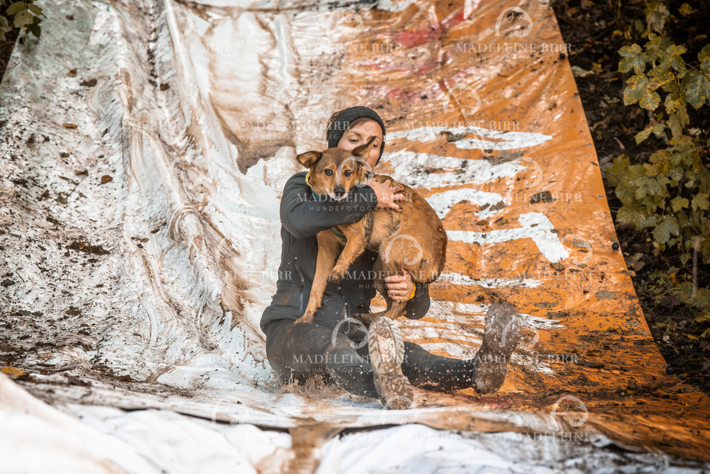 madeleinebirr-fotografie2025.campcanis.sa.15-16Uhr-464 | hundefotografie-birr