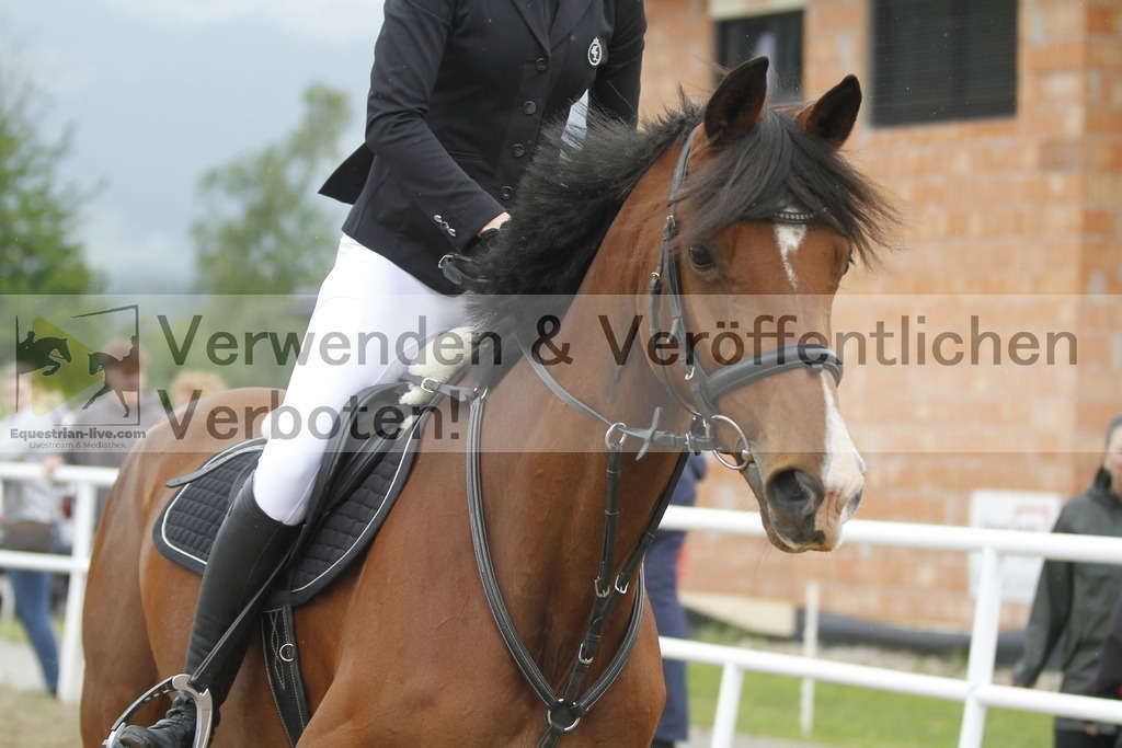 _MG_0100 | equestrian-live-com