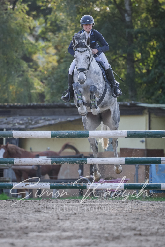 20251012-_3LI5749 | Tierfotografie Pferde, Hunde, Katzen, Haustiere.
Turnierfotografie Reitturniere, Reiten, Springreiten, Dressur in Hanau, dem Main-Kinzig-Kreis und dem Rhein-Main- Gebiet um Frankfurt
