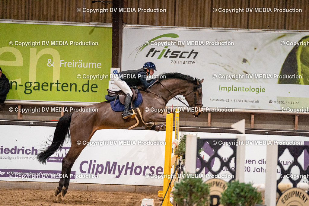 Kranichstein Tag 2-1175 | dv-media-shop - Realisiert mit Pictrs.com