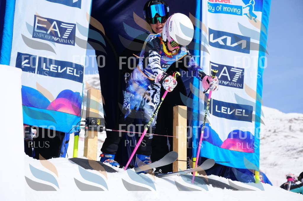 DSC_1326 | holidayphoto