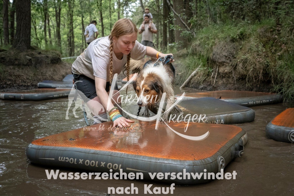 1213_ZZ97907T | kk-dogfotos