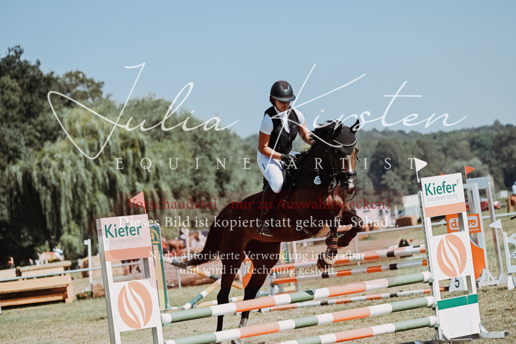 DSC_9856 | Pferde- und Turnierfotografie in Westsachsen. Pferdeportraits, Auftragszeichnungen und intuitive Kunst.