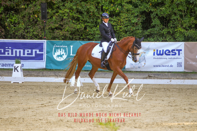 DKP41631 | Turniersportfotografie; Pferdefotografie; Dressurfotografie