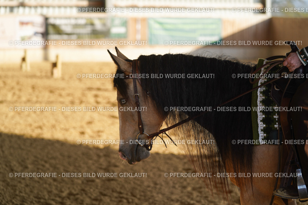 DSC08297 | Pferdegrafie