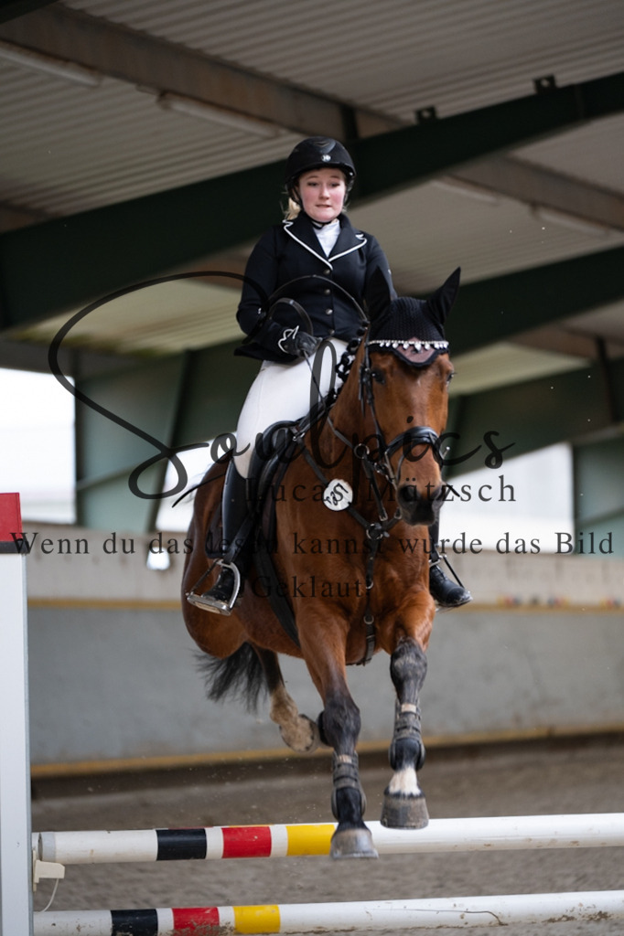 A7V03894 | Pferdefotograf