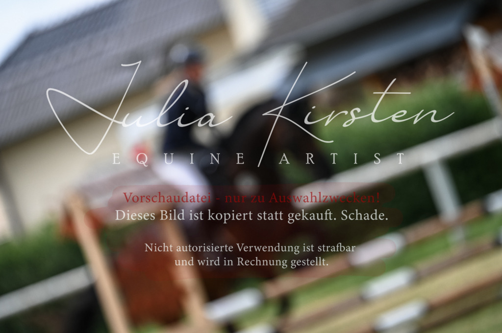 DSC_8265 | Pferde- und Turnierfotografie in Westsachsen. Pferdeportraits, Auftragszeichnungen und intuitive Kunst.