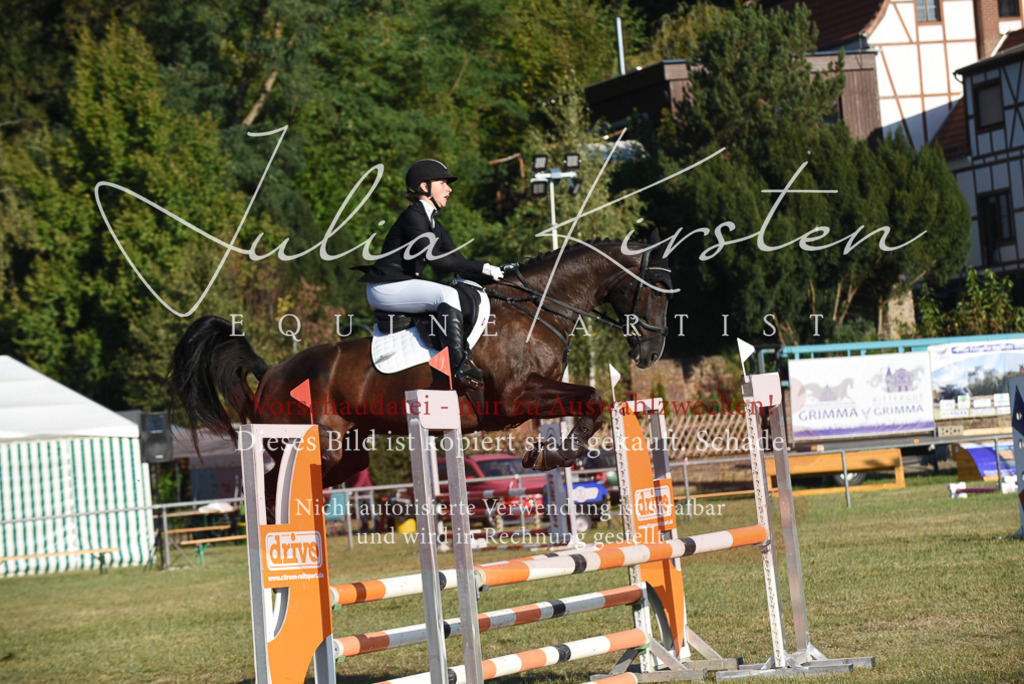 DSC_5027 | Pferde- und Turnierfotografie in Westsachsen. Pferdeportraits, Auftragszeichnungen und intuitive Kunst.