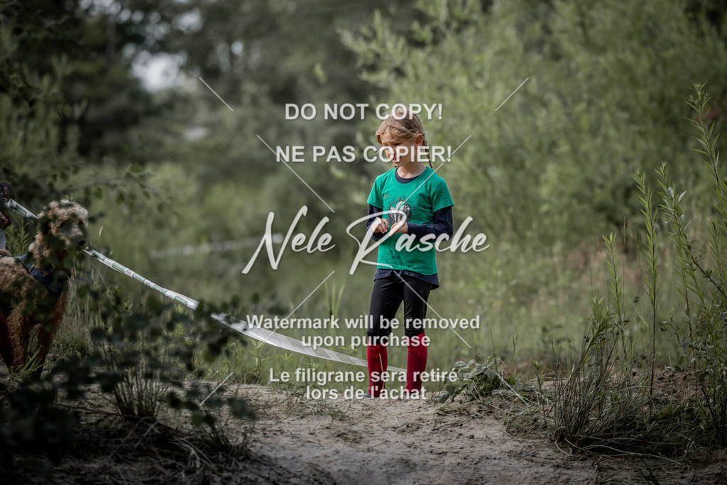 nelerasche_so0800-0930_38 | nelerasche