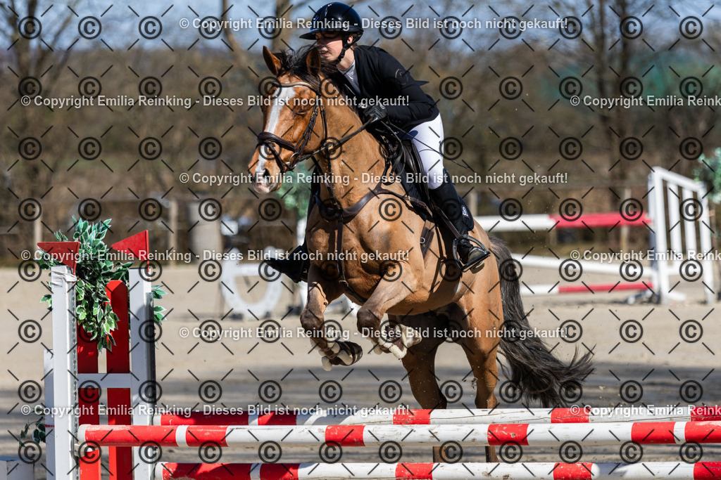 CL5A3024 | Emilia Reinking Fotografie - Realisiert mit Pictrs.com