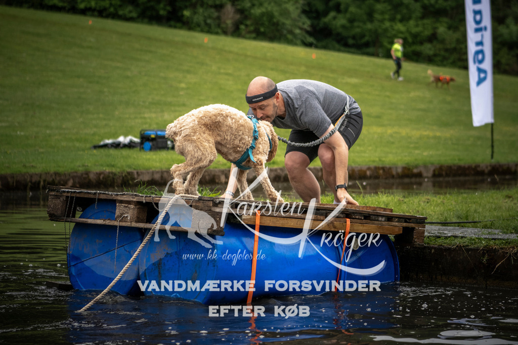 0958_ZZ93152 | kk-dogfotos