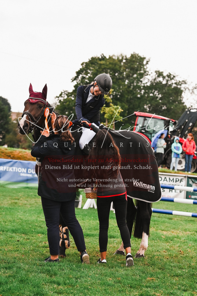DSC_6665 | Pferde- und Turnierfotografie in Westsachsen. Pferdeportraits, Auftragszeichnungen und intuitive Kunst.