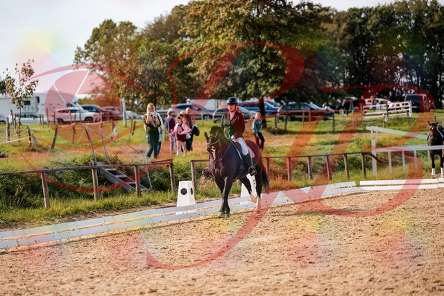 2026_10_03_Siefer-Hof_131716_Z63_79130169 | Professionelle Reitsport-, Turnier- und Eventfotografie von Robert Broda. Galerien mit ausgewählten und bearbeiteten Bildern direkt online ansehen und bestellen.