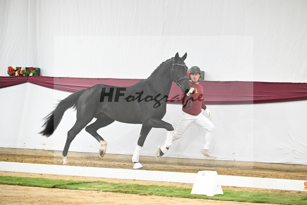 Kat-Nr. 55 Dream Royal x Fleury_Martina Breitner-Roetzer_47252041 | hf-fotografie - Realisiert mit Pictrs.com