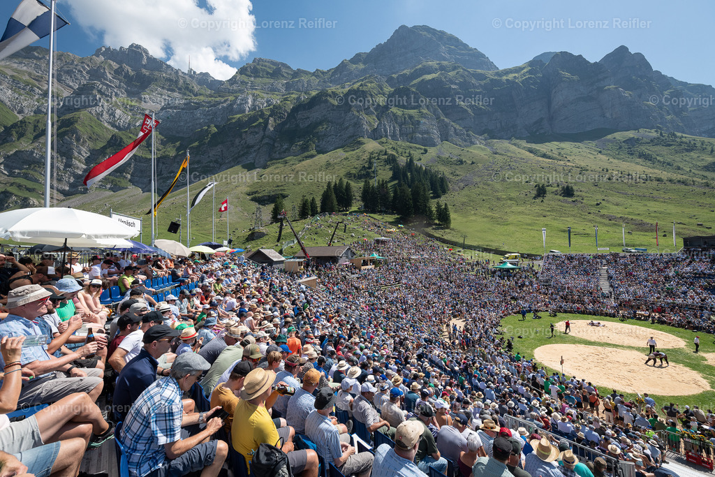 Schwingen -  Schwägalpschwinget 2023 | Schwägalp, 20.8.23, Schwingen - Schwägalpschwinget.