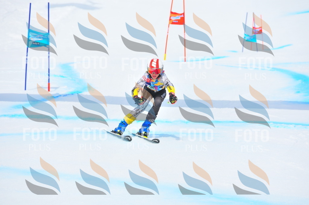 DSC_2153 | holidayphoto