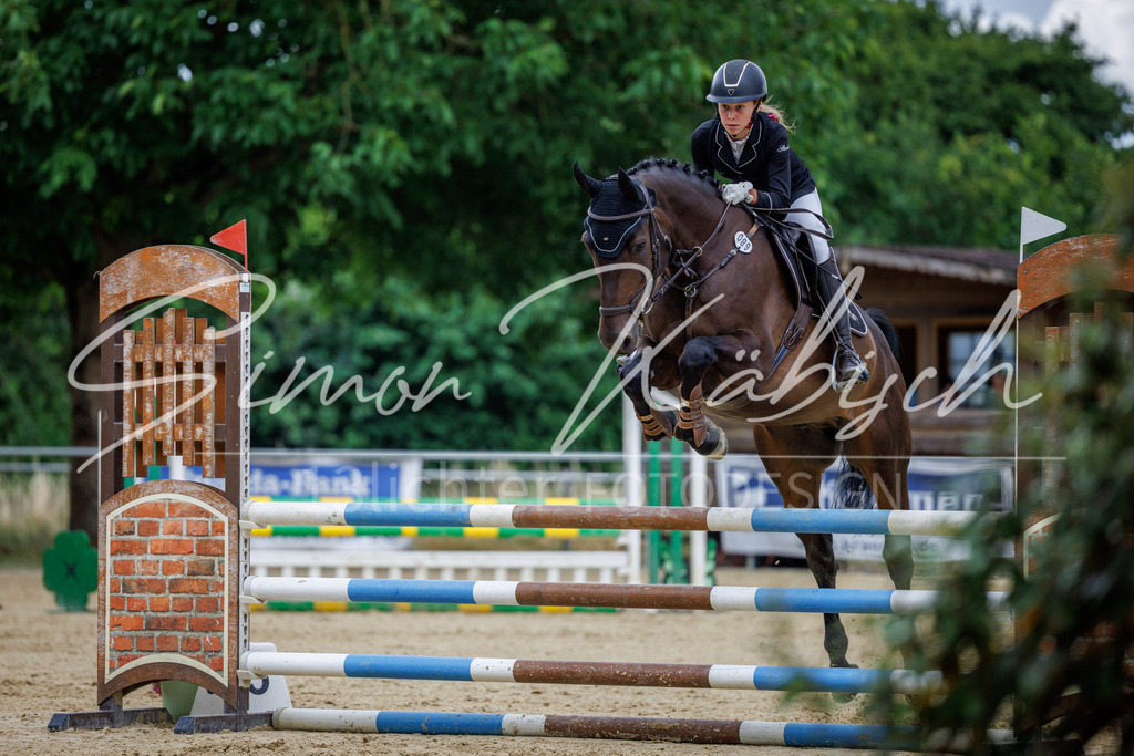 20260705-_3LI5256 | Tierfotografie Pferde, Hunde, Katzen, Haustiere.
Turnierfotografie Reitturniere, Reiten, Springreiten, Dressur in Hanau, dem Main-Kinzig-Kreis und dem Rhein-Main- Gebiet um Frankfurt