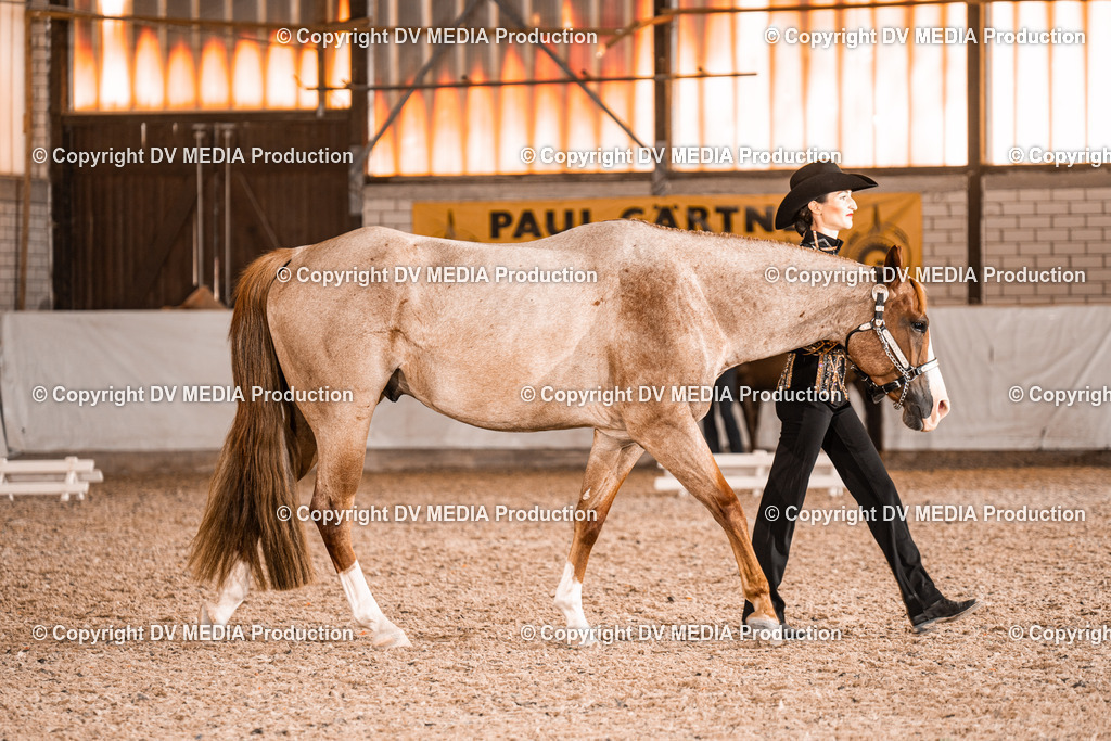 ZH200268 | dv-media-shop - Realisiert mit Pictrs.com