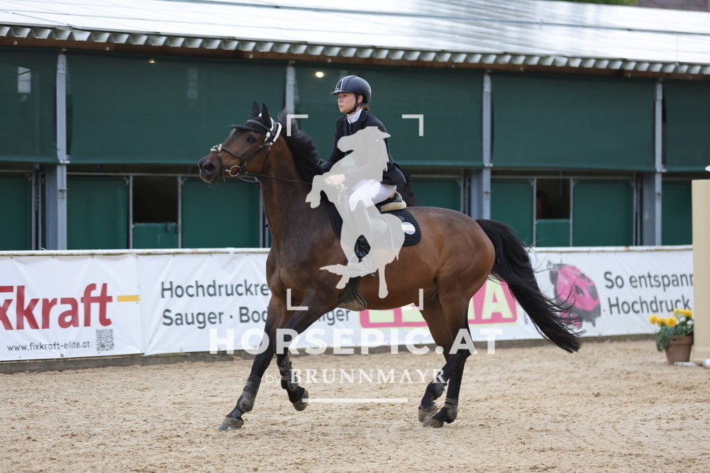 0P6A2464 | Willkommen bei Brunnmayr - Design & Fotografie – Ihrem Spezialisten für Reitturniere und Pferdeveranstaltungen in Oberösterreich, Salzburg und Bayern! Seit über 17 Jahren sind wir leidenschaftlich dabei.
