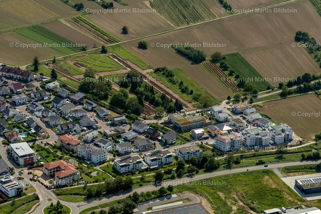 Ettenheim-1-6-23-29 | Bilder Fotos Luftbilder Luftaufnahmen Deutschland Süden Westen Schwarzwald Baden Württemberg  