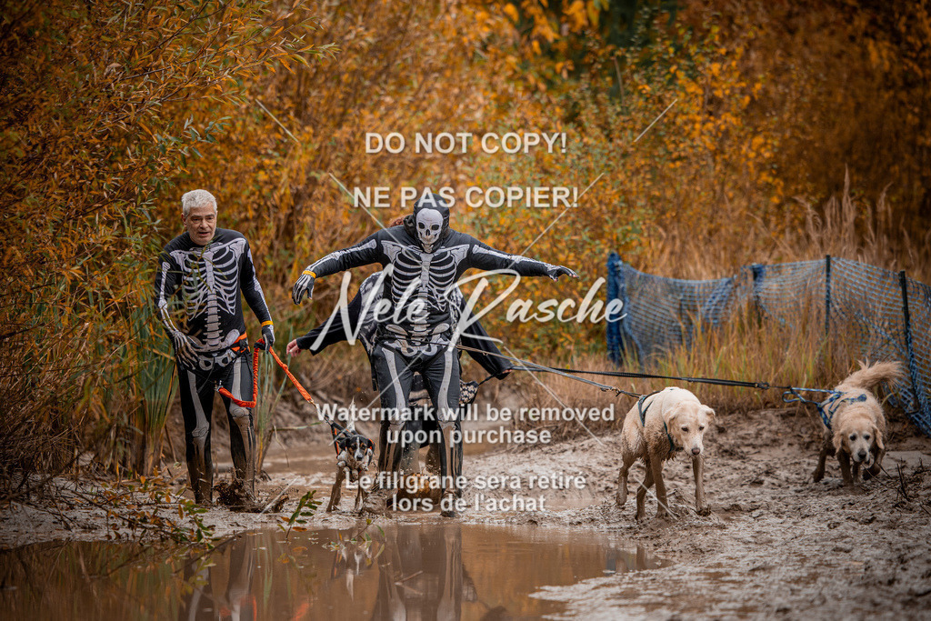 nelerasche_Creepy2025_Sa11-12_421 | nelerasche